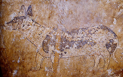 Beni Hassan ~ Hund 1 Beni Hassan ~ Hund 1