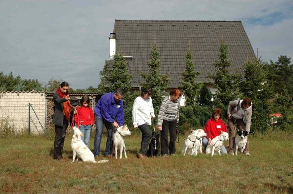 die mengeschen Hunde